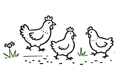 Illustration von drei Hühnern auf der Wiese – höchste Tierwohl-Standards durch Freilaufhaltung
