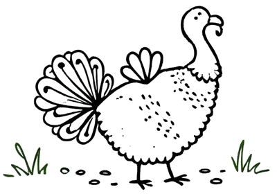 Illustration einer Pute auf der Wiese – frische Lieferung nur auf Bestellung, jeden Donnerstag